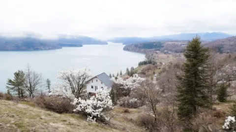 Sabljaci u četiri godišnja doba